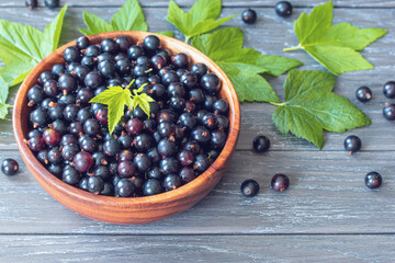 black currant berries in a wooden bowl on the table close-up. background with black currant and green leaves