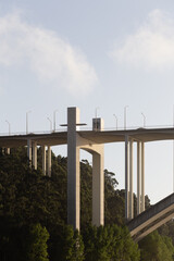 Car bridge standing between the trees