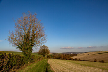 Fototapeta na wymiar A Sussex Farm Landscape