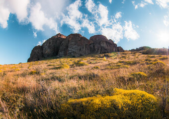 Fototapeta premium landscape with sky