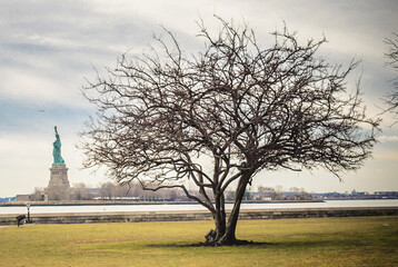 Landscape Photography with a  Large Bare Tree and Lady Liberty Statue in Background. New York City, USA © Nikolaos