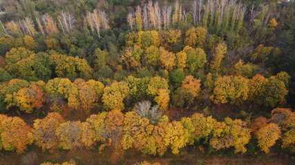 autumn in the mountains