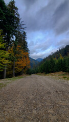 The road that leads to the forest, the road between the mountains