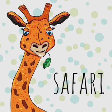 Vector Giraffe, Safari kids images Hand drawn vector illustration.