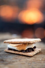 Close up of s'more in front of campfire with blurred background.