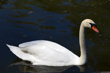 Old town of Marburg, Germany