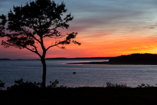 รูปภาพWellfleet เลือกดูภาพถ่ายสต็อก เวกเตอร์ และวิดีโอ573 Adobe Stock