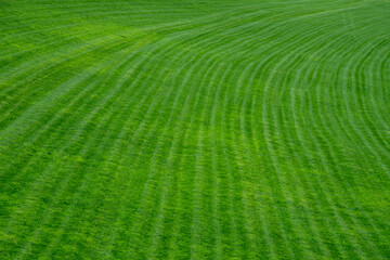 View of freshly cut green meadow, with curved lines, in a park in Madrid, horizontally