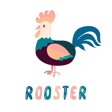 multicolored rooster, isolated vector illustration with hand lettering, an image in flat style