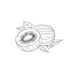 Obraz premium Kiwi Fruit with adult coloring style