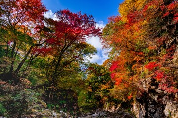 あまがたに渓谷の紅葉