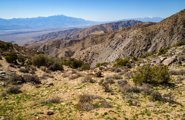 Joshua Tree National Park