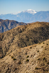 Joshua Tree National Park