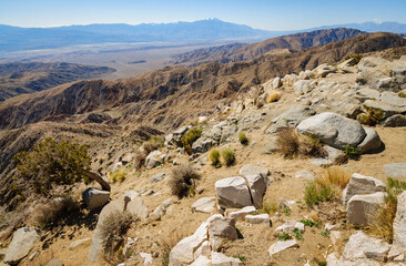 Joshua Tree National Park