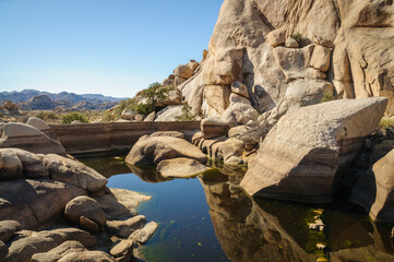 Joshua Tree National Park