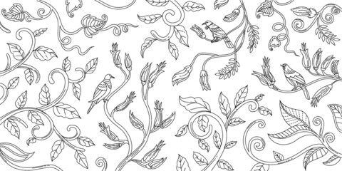 Outline Hand Drawn Various New Zealand Bird Adult Coloring