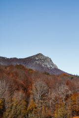 Mountain surrounded by autumnal trees