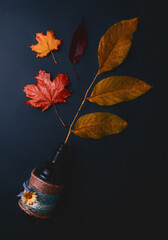 Autumn Leaf Colors 