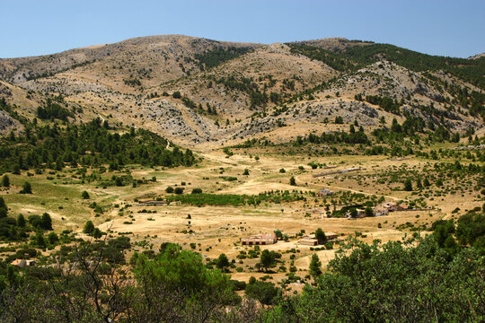 Valle y montaña con el pasto agostado en verano.  Prado Mayor, en el Parque Regional de Sierra Espuña, Alhama de Murcia.
