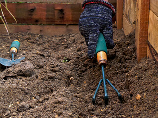 Gardener preparing dirt in wooden garden bed using gardening fork