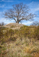 Gettysburg National Military Park