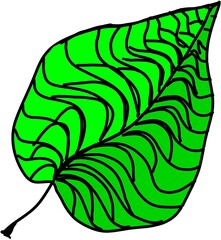 Decorative pattern with a leaf in a bright colors