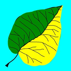 Decorative  drawing with a leaf in a bright green and yellow colors