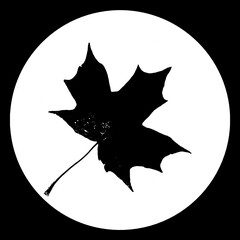 Decorative mandala with a silhouette of maple leaf in a circle