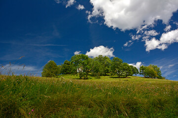 paysage montagne