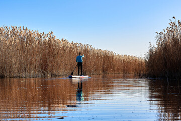 Fototapeta na wymiar Back view of woman on stand up paddle board (SUP) rowing on the river aе sunny autumn day