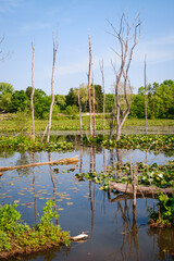 Cuyahoga Valley National Park