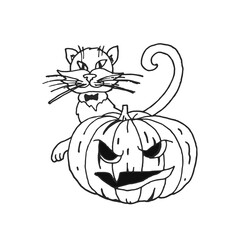 Funny pumpkin and cat for Halloween. Autumn holidays. Fashion is Vector Illustration