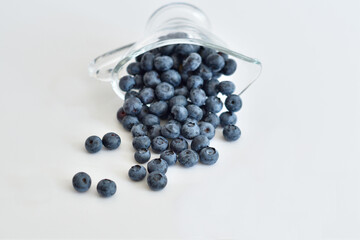 Fresh blueberries with mint leaves. Freshly picked blueberries in glass on white background. Healthy organic seasonal fruit background. Berries closeup.Selective focus
