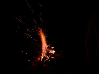 Campfire in the woods during night 