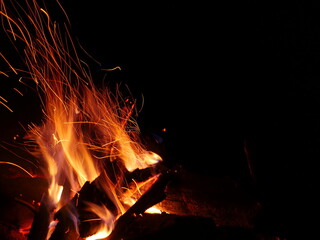 Campfire in the woods during night 