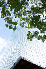 modern finance and company business building with environmental green nature