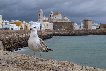 La Tazita de Plata, Cádiz, Andalucía, España.