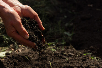 Closeup shot of a female hand full of rich garden soil used for transplanting