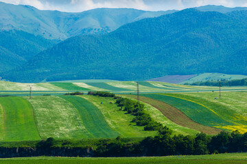 Fototapeta premium Beautiful landscape with field and mountains, Armenia