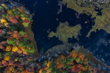 Aerial View on Lake at the forest during Autumn