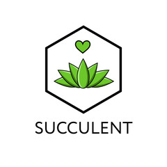 Succulent with love. Vector image for decoration of postcards, Valentine's Day. Green succulent plant with a heart.
