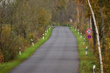 Country road with traffic sign and small trees on the sides