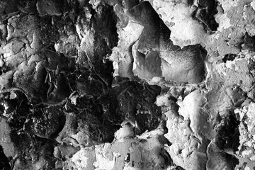 Highly textured background of cracking, decaying paint on concrete forming an abstract backdrop.