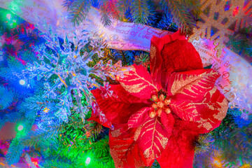Colored lights, snowflakes and a large red Poinsettia decorate a Christmas tree, close up.