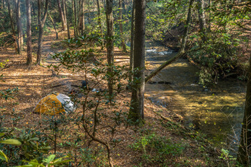 Camping in the forest