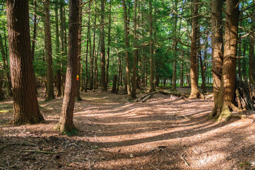 Jamestown Audubon Center and Sanctuary © Zack Frank