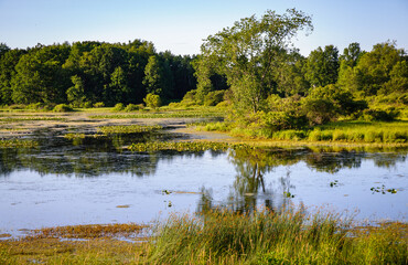 Jamestown Audubon Center and Sanctuary © Zack Frank
