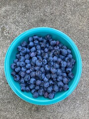 bowl of blueberries
