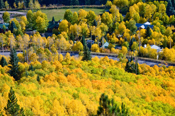Fototapeta premium Placita Colorado Autumn - Looking down McClure Pass into the town of Placita Colorado, near Marble, draped in full fall colors with gold, green and orange aspen forest along Highway 133, Pitkin County