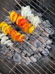 shish kebab on the grill